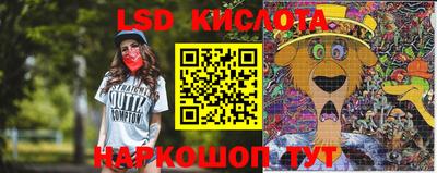 стаф Брянск