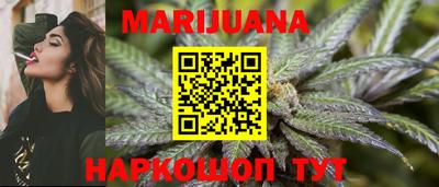 сатива Боровичи