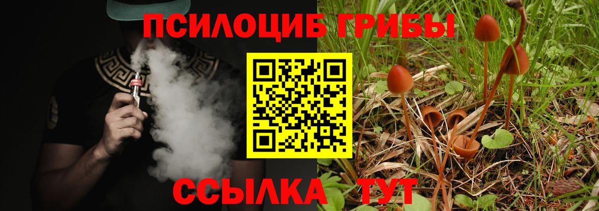 Галлюциногенные грибы прущие грибы  Вход с VPN  Брянск 
